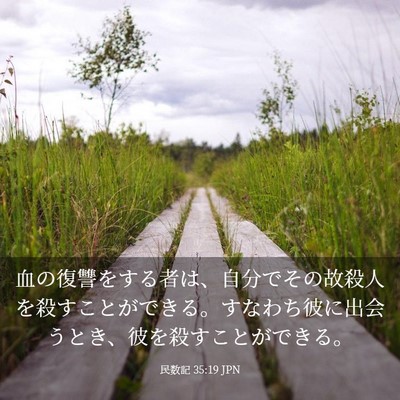 Picture 03 - 民数記 35:19 JPN - 血の復讐をする者は、自分でその故 - Bible Verse Picture