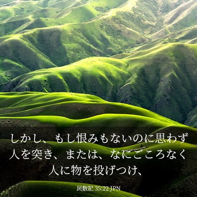 Picture 03 - 民数記 35:22 JPN - しかし、もし恨みもないのに思わず - Bible Verse Picture