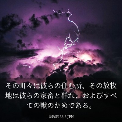 Picture 03 - 民数記 35:3 JPN - その町々は彼らの住む所、その放牧 - Bible Verse Picture