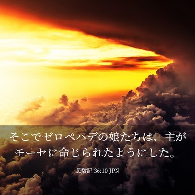 Picture 03 - 民数記 36:10 JPN - そこでゼロペハデの娘たちは、主が - Bible Verse Picture