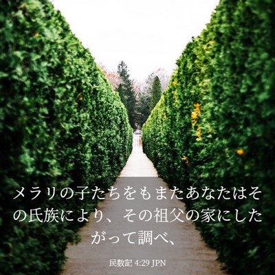 Picture 03 - 民数記 4:29 JPN - メラリの子たちをもまたあなたはそ - Bible Verse Picture