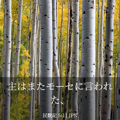 Picture 03 - 民数記 5:11 JPN - 主はまたモーセに言われた、 - Bible Verse Picture