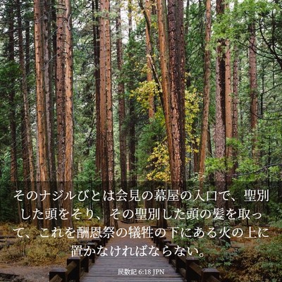 Picture 03 - 民数記 6:18 JPN - そのナジルびとは会見の幕屋の入口 - Bible Verse Picture