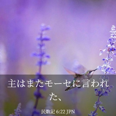 Picture 03 - 民数記 6:22 JPN - 主はまたモーセに言われた、 - Bible Verse Picture