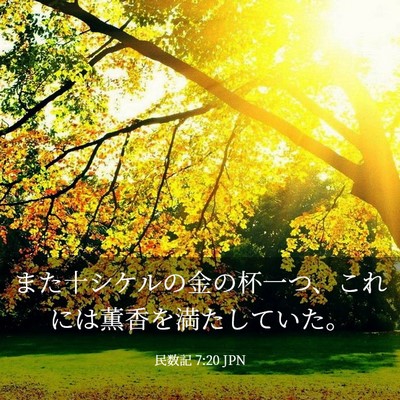 Picture 03 - 民数記 7:20 JPN - また十シケルの金の杯一つ、これに - Bible Verse Picture