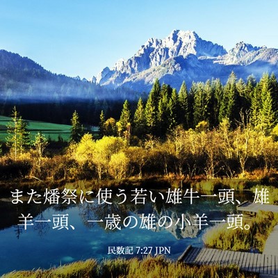 Picture 03 - 民数記 7:27 JPN - また燔祭に使う若い雄牛一頭、雄羊 - Bible Verse Picture