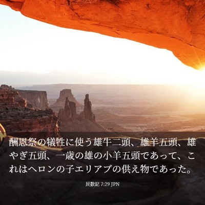 Picture 03 - 民数記 7:29 JPN - 酬恩祭の犠牲に使う雄牛二頭、雄羊 - Bible Verse Picture