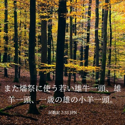 Picture 03 - 民数記 7:33 JPN - また燔祭に使う若い雄牛一頭、雄羊 - Bible Verse Picture