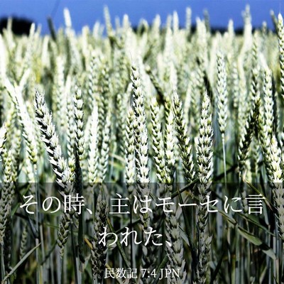 Picture 03 - 民数記 7:4 JPN - その時、主はモーセに言われた、 - Bible Verse Picture