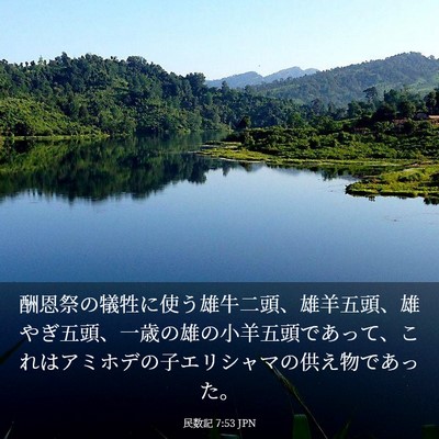 Picture 03 - 民数記 7:53 JPN - 酬恩祭の犠牲に使う雄牛二頭、雄羊 - Bible Verse Picture