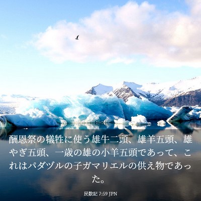 Picture 03 - 民数記 7:59 JPN - 酬恩祭の犠牲に使う雄牛二頭、雄羊 - Bible Verse Picture