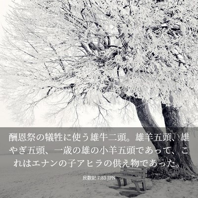 Picture 03 - 民数記 7:83 JPN - 酬恩祭の犠牲に使う雄牛二頭。雄羊 - Bible Verse Picture