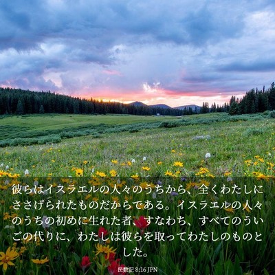 Picture 03 - 民数記 8:16 JPN - 彼らはイスラエルの人々のうちから - Bible Verse Picture