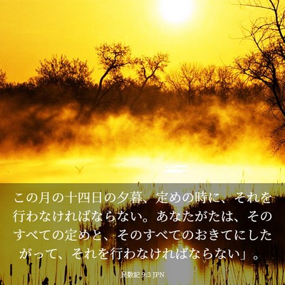 Picture 03 - 民数記 9:3 JPN - この月の十四日の夕暮、定めの時に - Bible Verse Picture