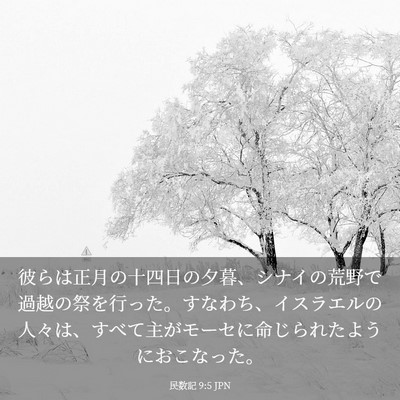 Picture 03 - 民数記 9:5 JPN - 彼らは正月の十四日の夕暮、シナイ - Bible Verse Picture