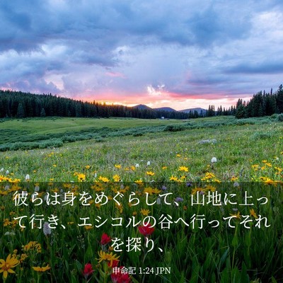 Picture 03 - 申命記 1:24 JPN - 彼らは身をめぐらして、山地に上っ - Bible Verse Picture