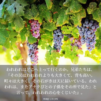 Picture 03 - 申命記 1:28 JPN - われわれはどこへ上って行くのか。 - Bible Verse Picture