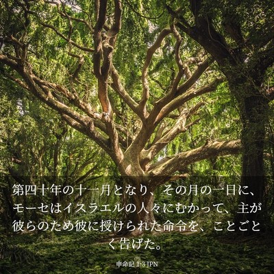 Picture 03 - 申命記 1:3 JPN - 第四十年の十一月となり、その月の - Bible Verse Picture