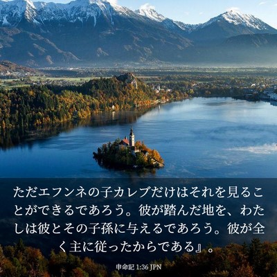 Picture 03 - 申命記 1:36 JPN - ただエフンネの子カレブだけはそれ - Bible Verse Picture