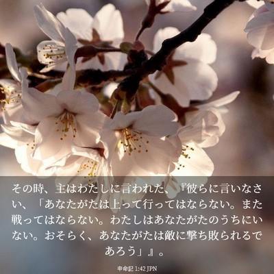 Picture 03 - 申命記 1:42 JPN - その時、主はわたしに言われた、『 - Bible Verse Picture