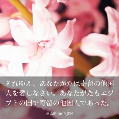 Picture 03 - 申命記 10:19 JPN - それゆえ、あなたがたは寄留の他国 - Bible Verse Picture