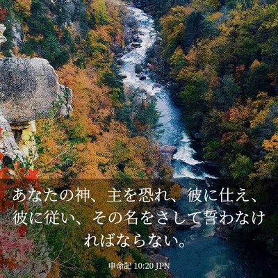 Picture 03 - 申命記 10:20 JPN - あなたの神、主を恐れ、彼に仕え、 - Bible Verse Picture