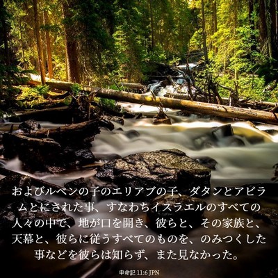 Picture 03 - 申命記 11:6 JPN - およびルベンの子のエリアブの子、 - Bible Verse Picture