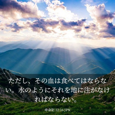 Picture 03 - 申命記 12:16 JPN - ただし、その血は食べてはならない - Bible Verse Picture