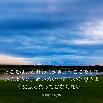 Picture 03 - 申命記 12:8 JPN - そこでは、われわれがきょうここで - Bible Verse Picture