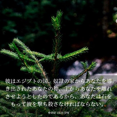Picture 03 - 申命記 13:10 JPN - 彼はエジプトの国、奴隷の家からあ - Bible Verse Picture