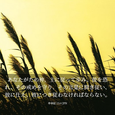 Picture 03 - 申命記 13:4 JPN - あなたがたの神、主に従って歩み、 - Bible Verse Picture