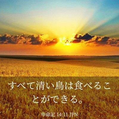 Picture 03 - 申命記 14:11 JPN - すべて清い鳥は食べることができる - Bible Verse Picture