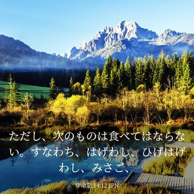 Picture 03 - 申命記 14:12 JPN - ただし、次のものは食べてはならな - Bible Verse Picture
