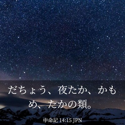 Picture 03 - 申命記 14:15 JPN - だちょう、夜たか、かもめ、たかの - Bible Verse Picture