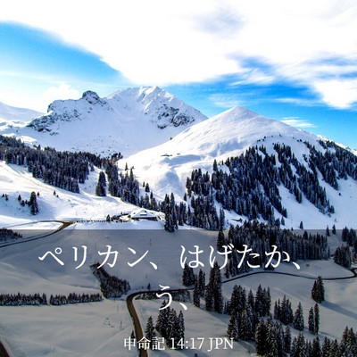 Picture 03 - 申命記 14:17 JPN - ペリカン、はげたか、う、 - Bible Verse Picture