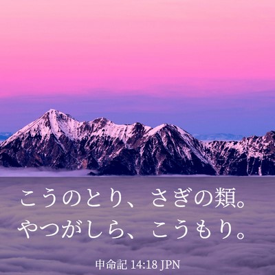 Picture 03 - 申命記 14:18 JPN - こうのとり、さぎの類。やつがしら - Bible Verse Picture