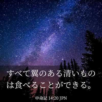Picture 03 - 申命記 14:20 JPN - すべて翼のある清いものは食べるこ - Bible Verse Picture