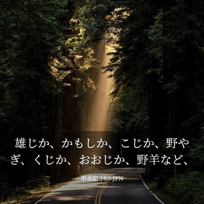 Picture 03 - 申命記 14:5 JPN - 雄じか、かもしか、こじか、野やぎ - Bible Verse Picture