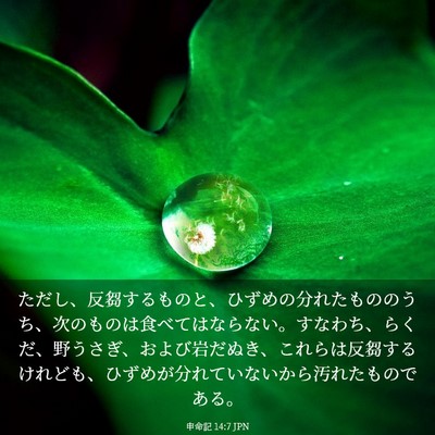 Picture 03 - 申命記 14:7 JPN - ただし、反芻するものと、ひずめの - Bible Verse Picture