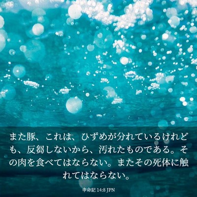 Picture 03 - 申命記 14:8 JPN - また豚、これは、ひずめが分れてい - Bible Verse Picture