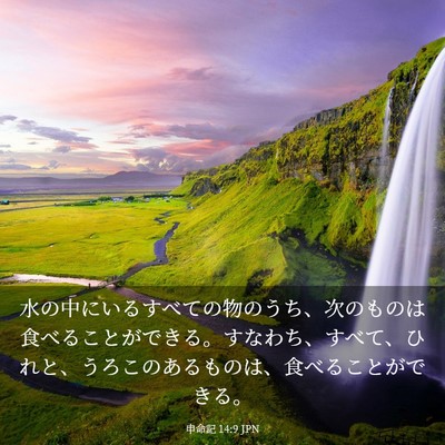 Picture 03 - 申命記 14:9 JPN - 水の中にいるすべての物のうち、次 - Bible Verse Picture