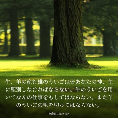 Picture 03 - 申命記 15:19 JPN - 牛、羊の産む雄のういごは皆あなた - Bible Verse Picture