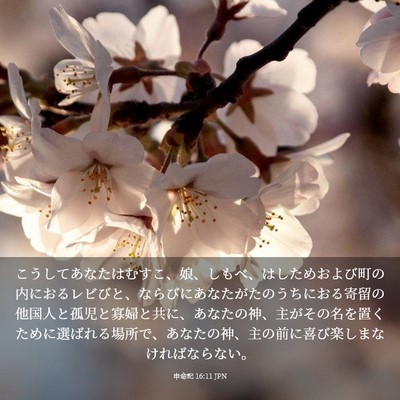 Picture 03 - 申命記 16:11 JPN - こうしてあなたはむすこ、娘、しも - Bible Verse Picture