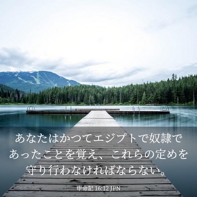 Picture 03 - 申命記 16:12 JPN - あなたはかつてエジプトで奴隷であ - Bible Verse Picture