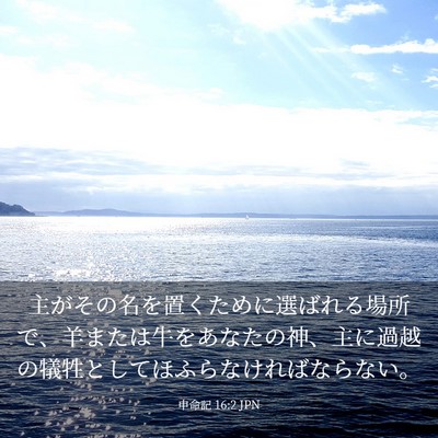 Picture 03 - 申命記 16:2 JPN - 主がその名を置くために選ばれる場 - Bible Verse Picture