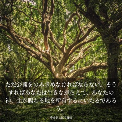 Picture 03 - 申命記 16:20 JPN - ただ公義をのみ求めなければならな - Bible Verse Picture