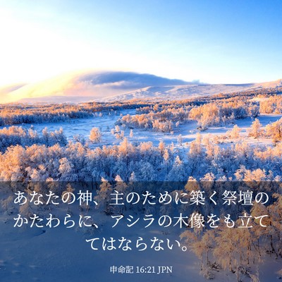 Picture 03 - 申命記 16:21 JPN - あなたの神、主のために築く祭壇の - Bible Verse Picture