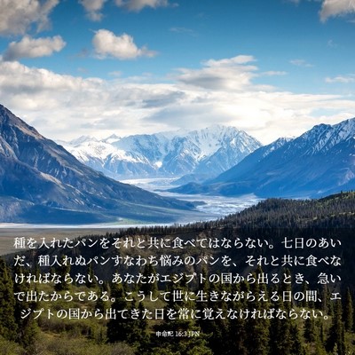 Picture 03 - 申命記 16:3 JPN - 種を入れたパンをそれと共に食べて - Bible Verse Picture