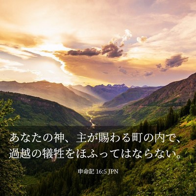 Picture 03 - 申命記 16:5 JPN - あなたの神、主が賜わる町の内で、 - Bible Verse Picture