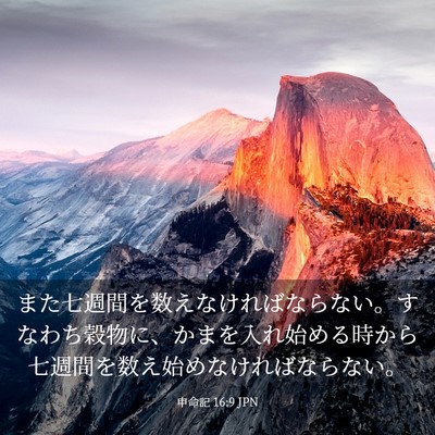 Picture 03 - 申命記 16:9 JPN - また七週間を数えなければならない - Bible Verse Picture